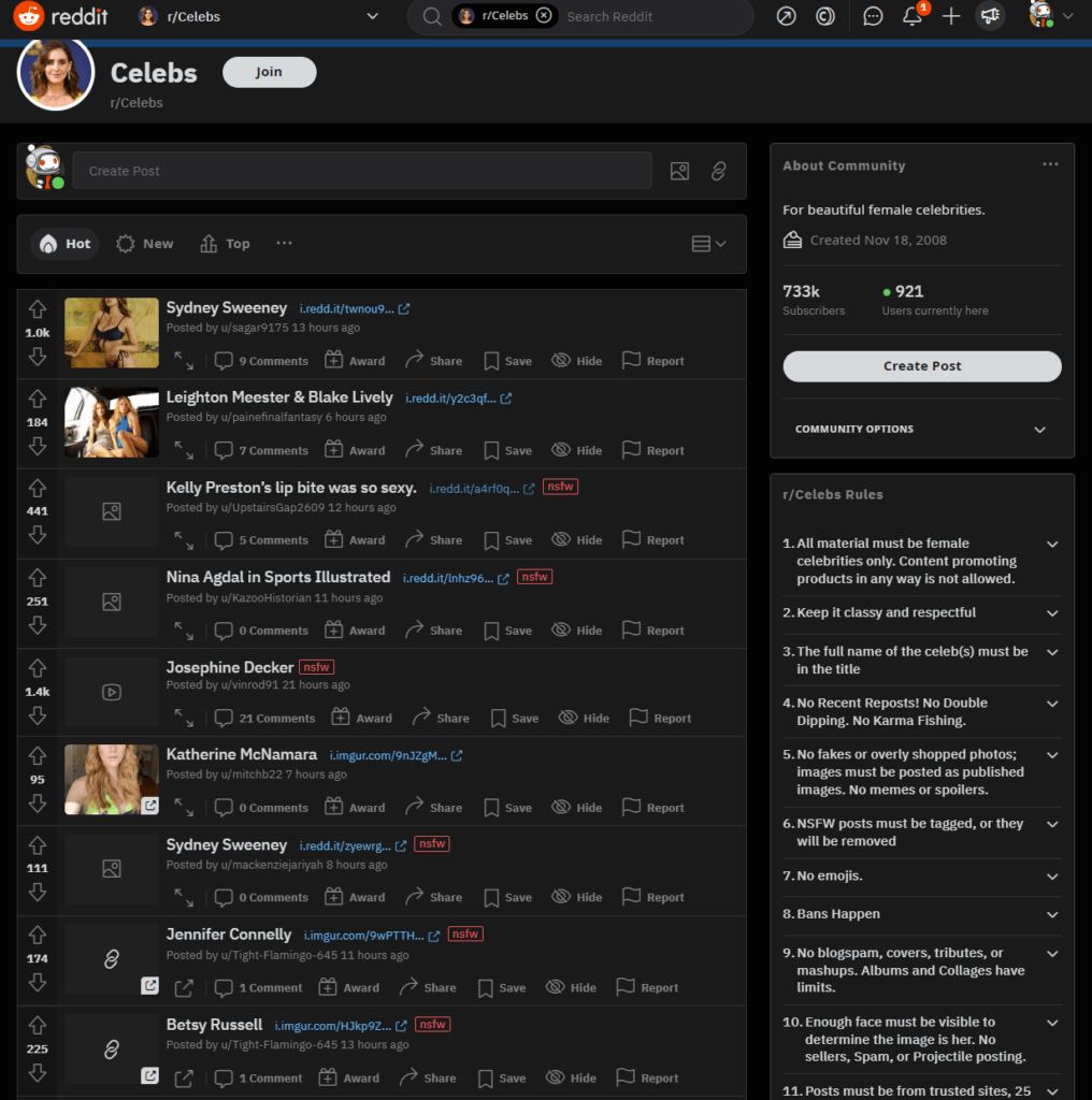 Reddit is a goldmine for NSFW content